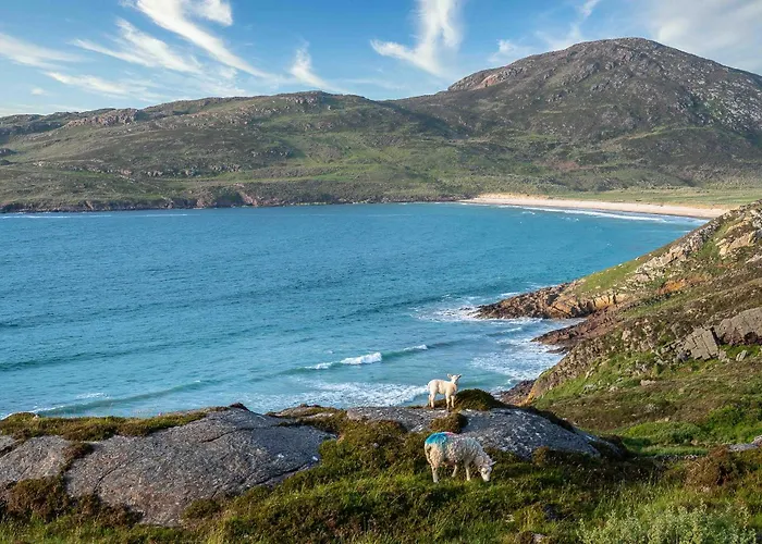 Holiday home Shoreline *